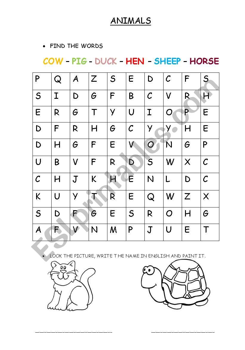 animals worksheet