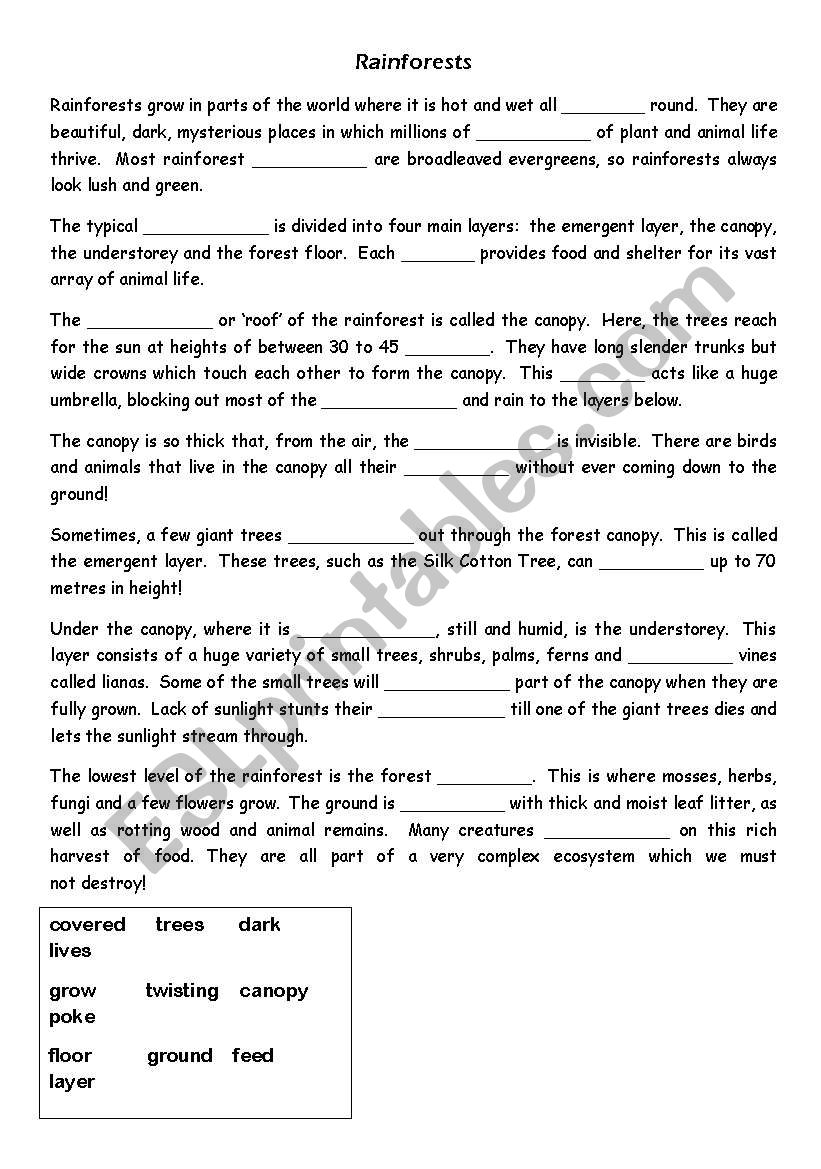 Rainforests - Cloze Passage worksheet