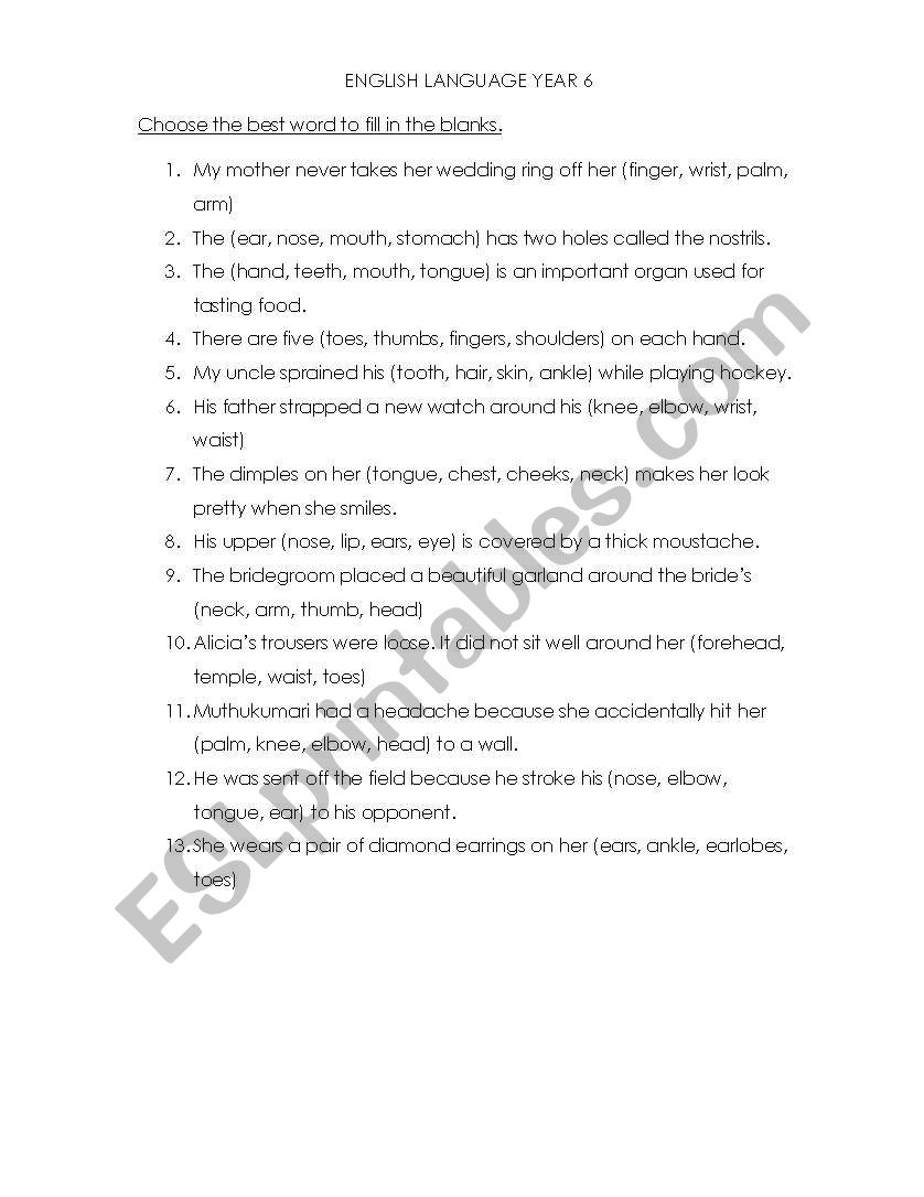Parts of the body worksheet