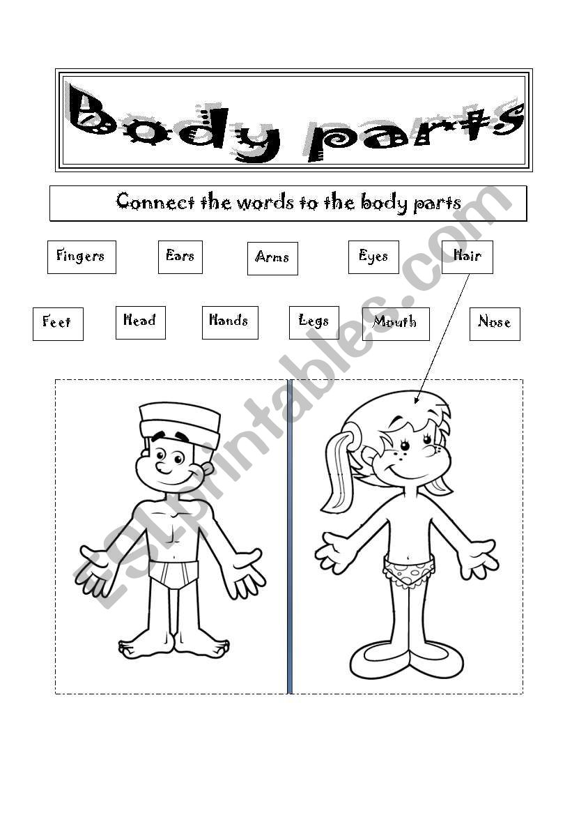 BODY PARTS worksheet