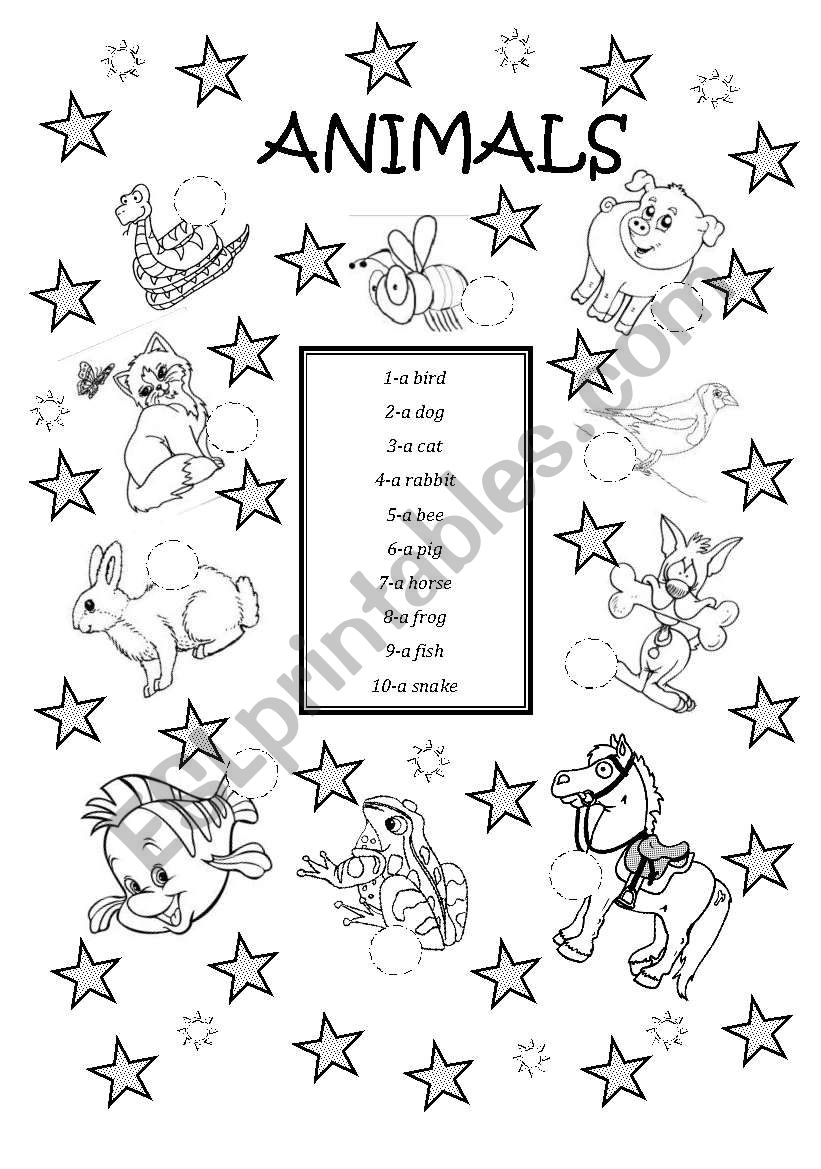 ANIMALS worksheet