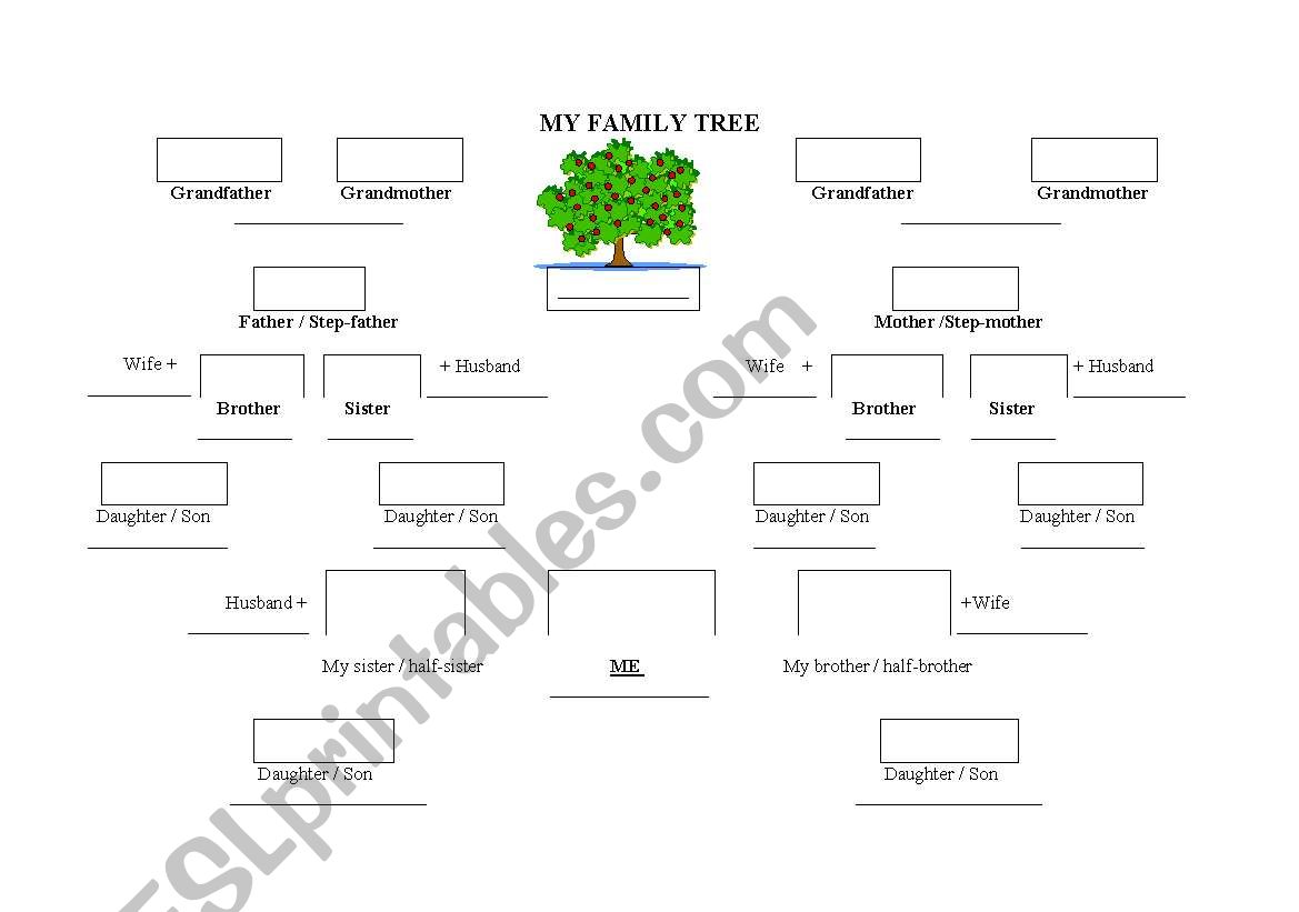 MY FAMILY TREE worksheet