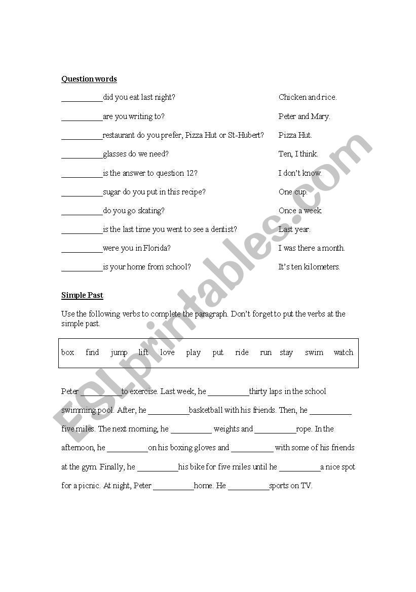 question words worksheet