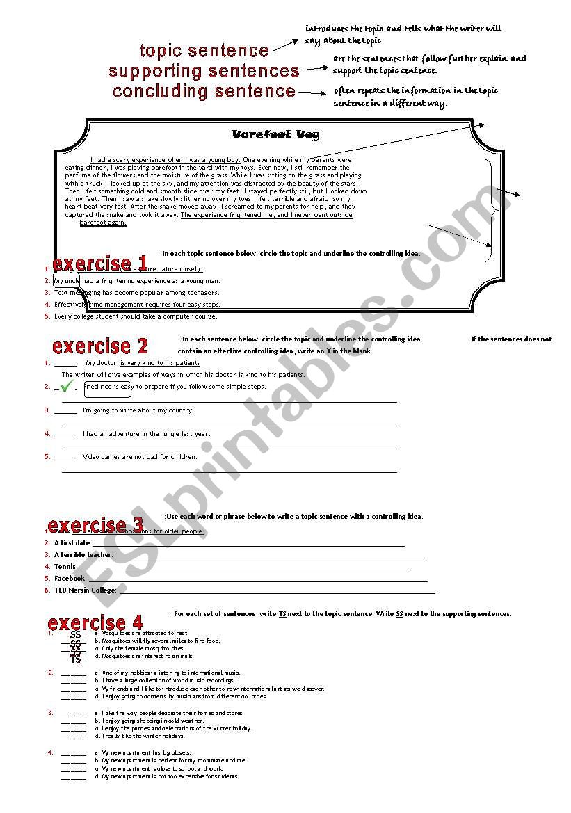 Paragraph writing worksheet