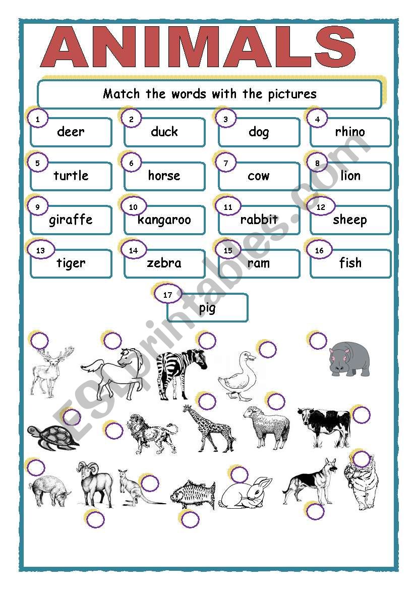 Animals  worksheet