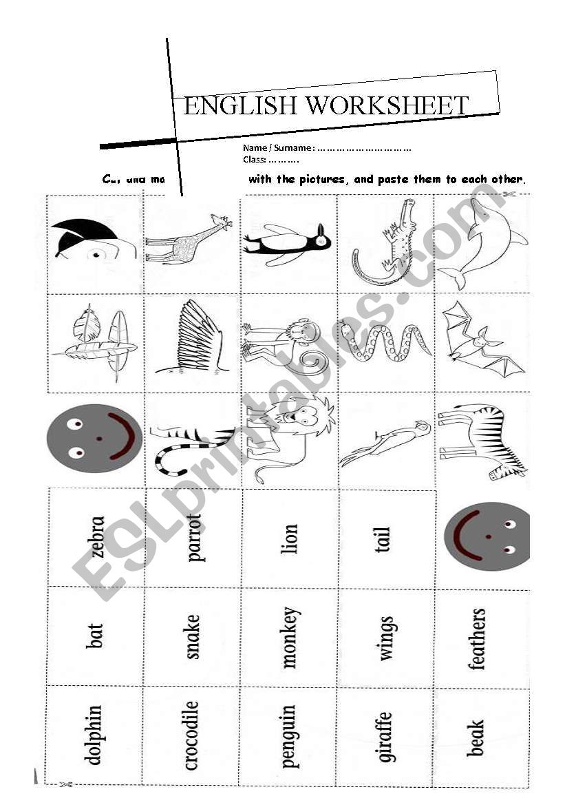 worksheet about animals worksheet