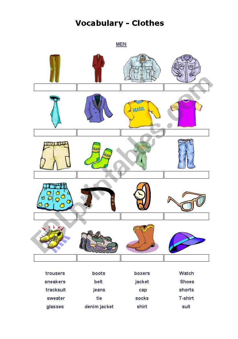 Clothes  worksheet