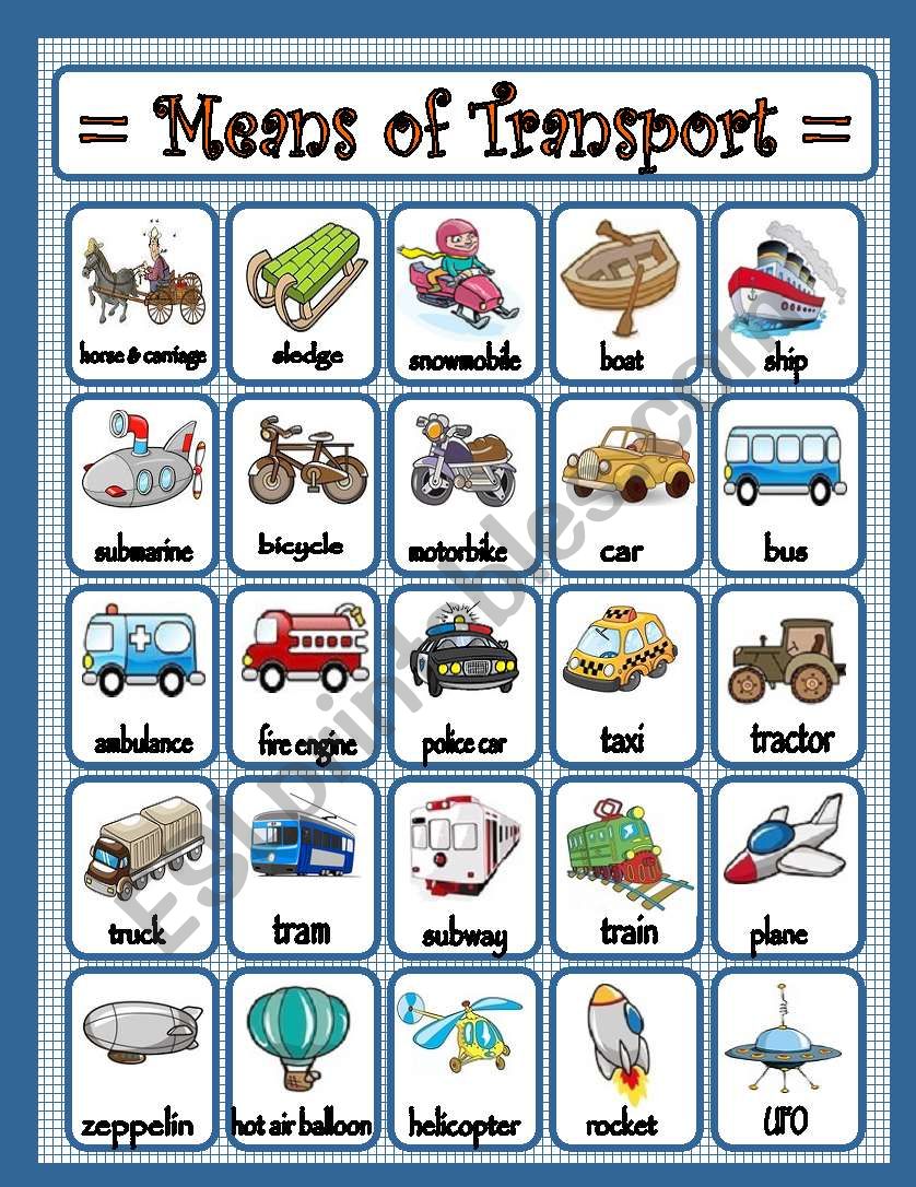 Means of transport worksheet