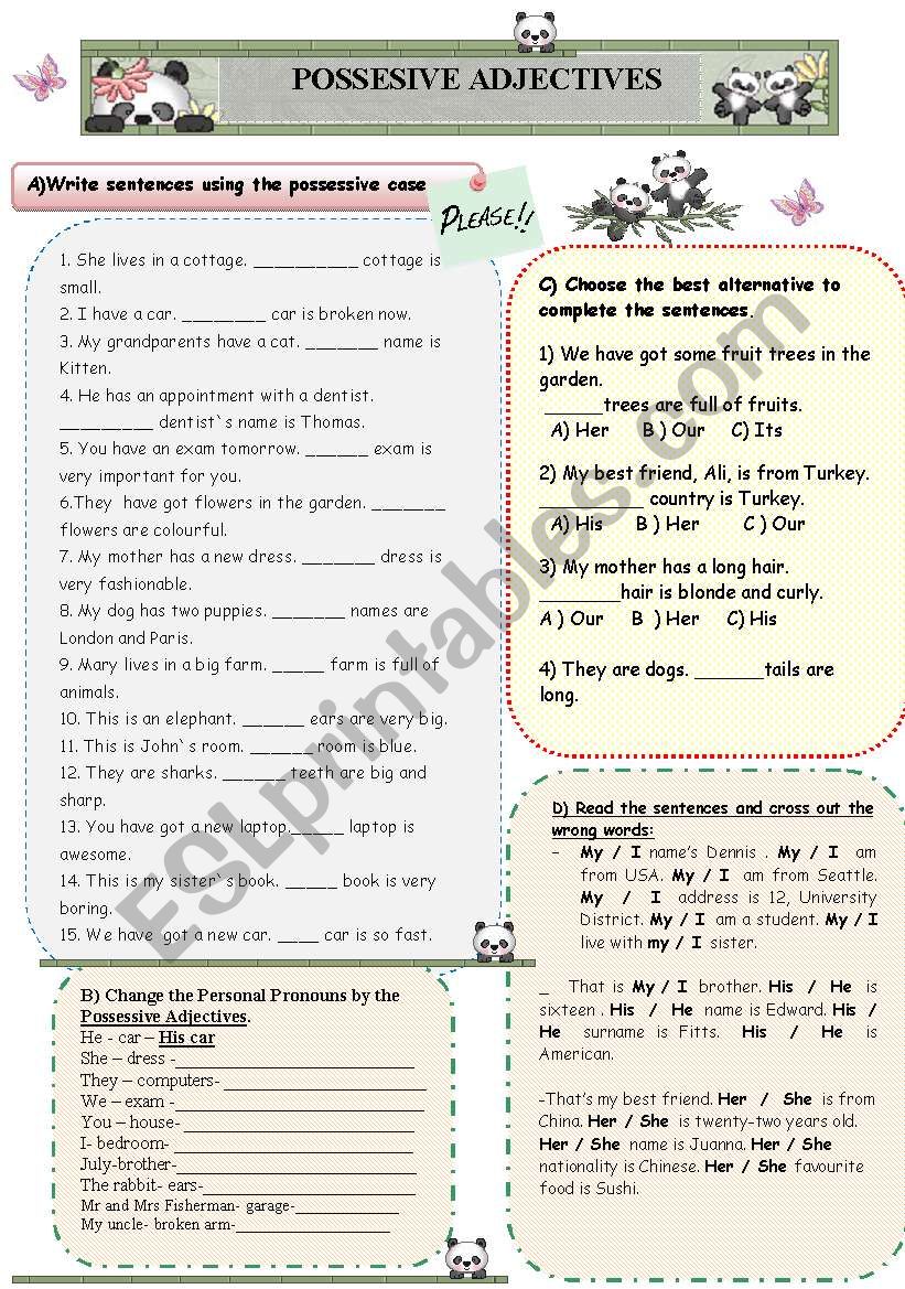 possessive adjectives worksheet