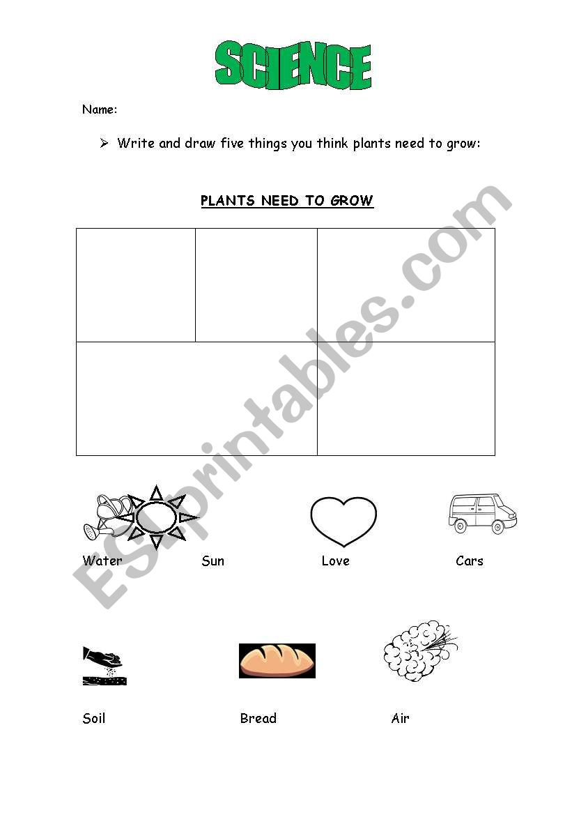 Plants need to grow worksheet