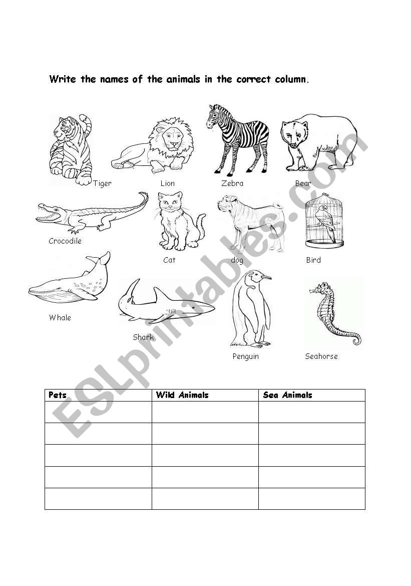 Animals worksheet worksheet