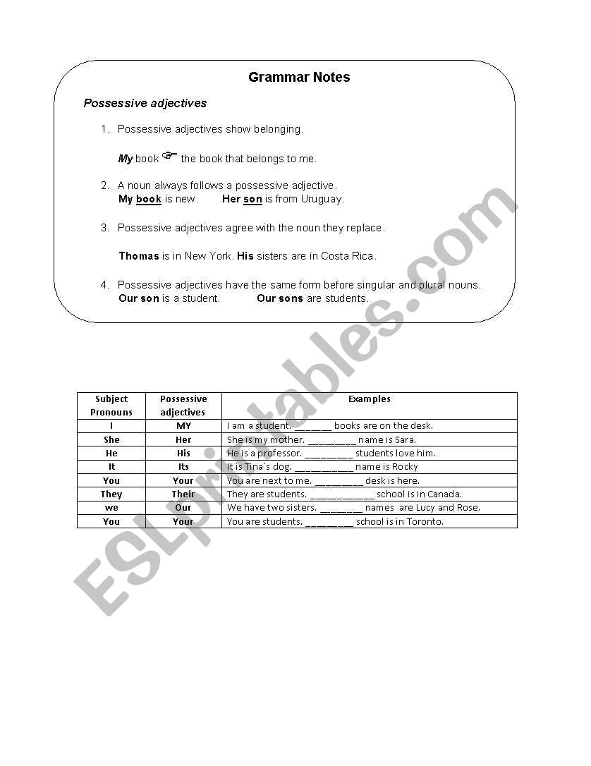 Possessives worksheet