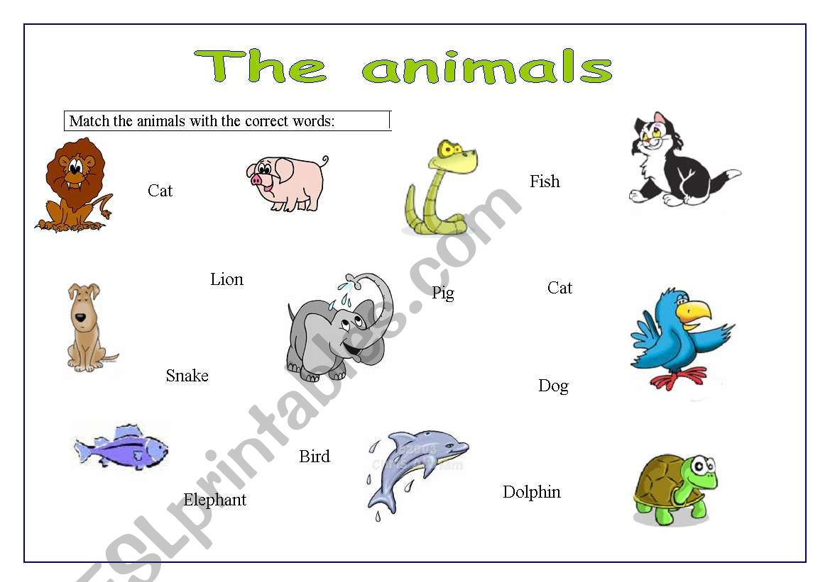 The animals worksheet