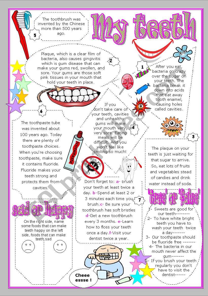 My teeth : reading ws with comprehension activities