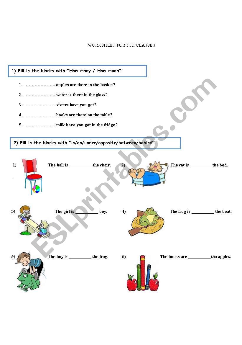 worksheet for 5th classes worksheet