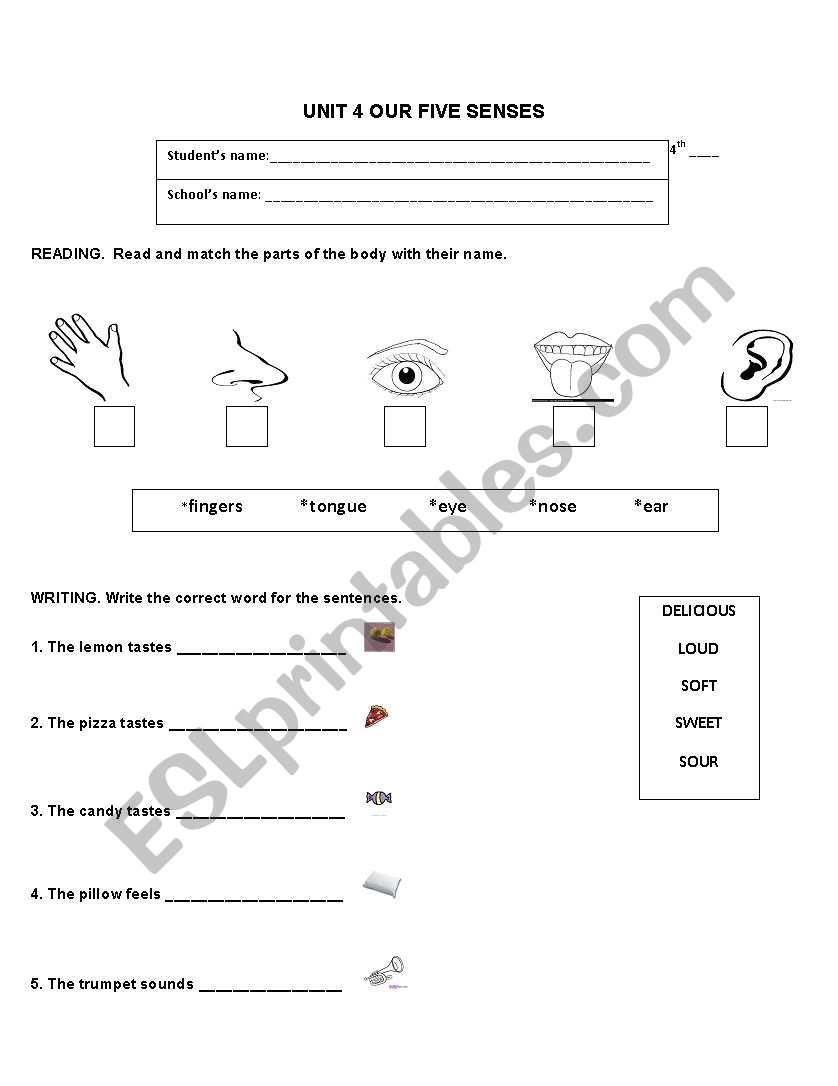 The Five Senses worksheet