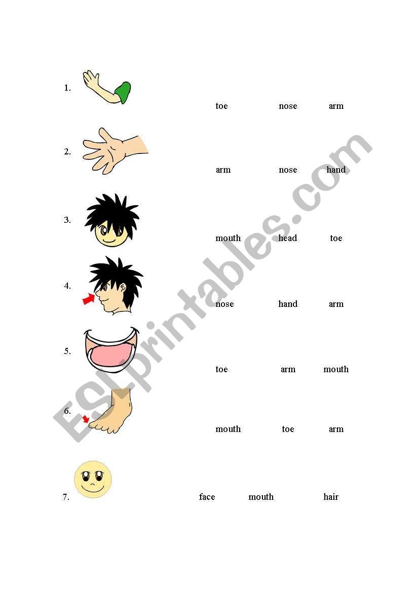 body parts worksheet