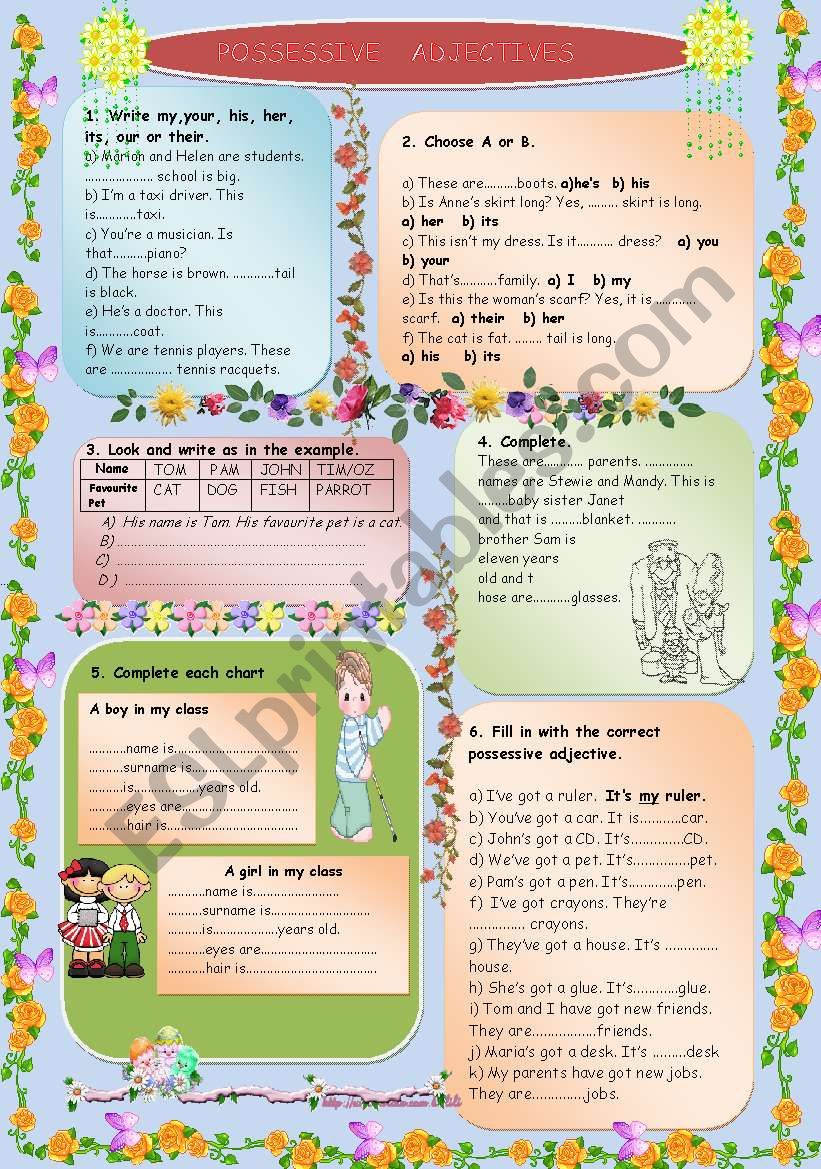  POSSESSIVE    ADJECTIVES worksheet