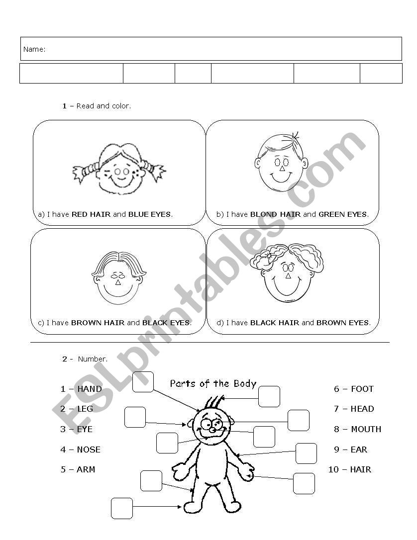 Exercises worksheet