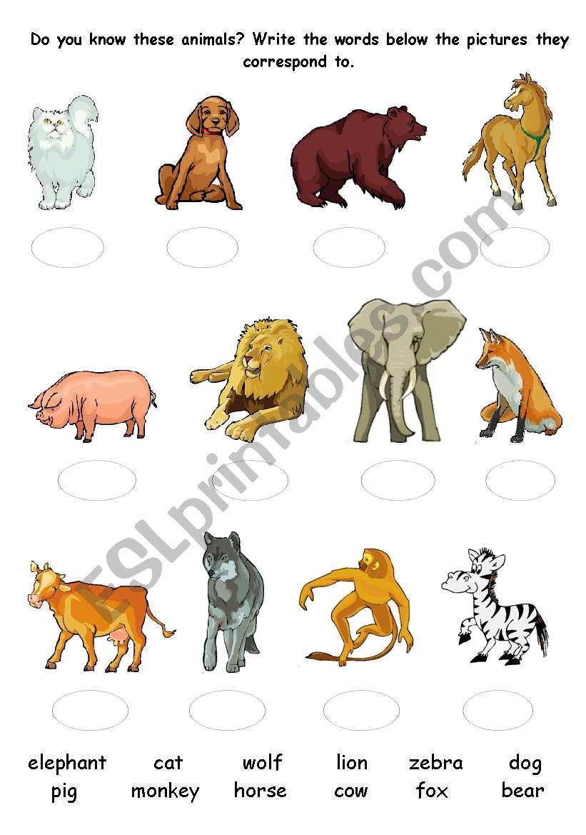 Animals Quiz worksheet