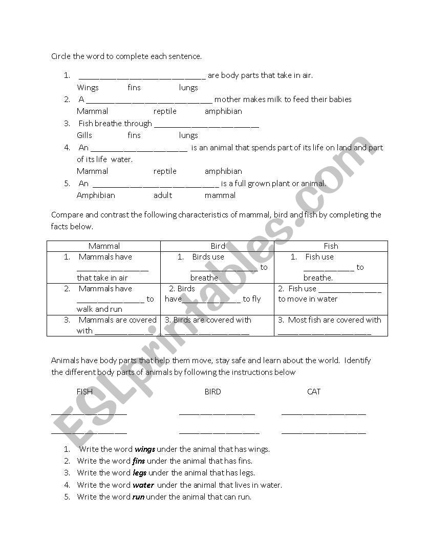 Science worksheet