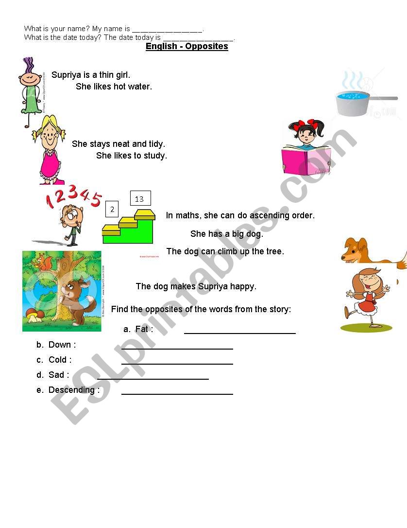 Opposites worksheet