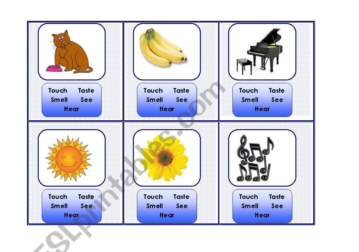 Senses Cards worksheet