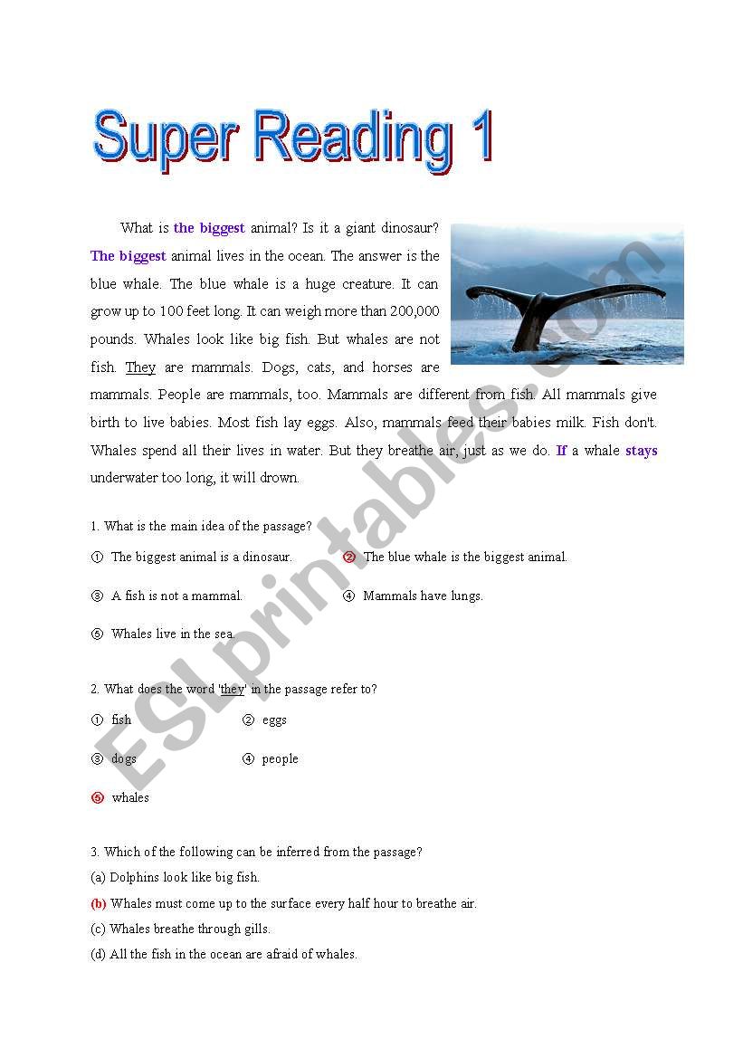 Super Reading  worksheet