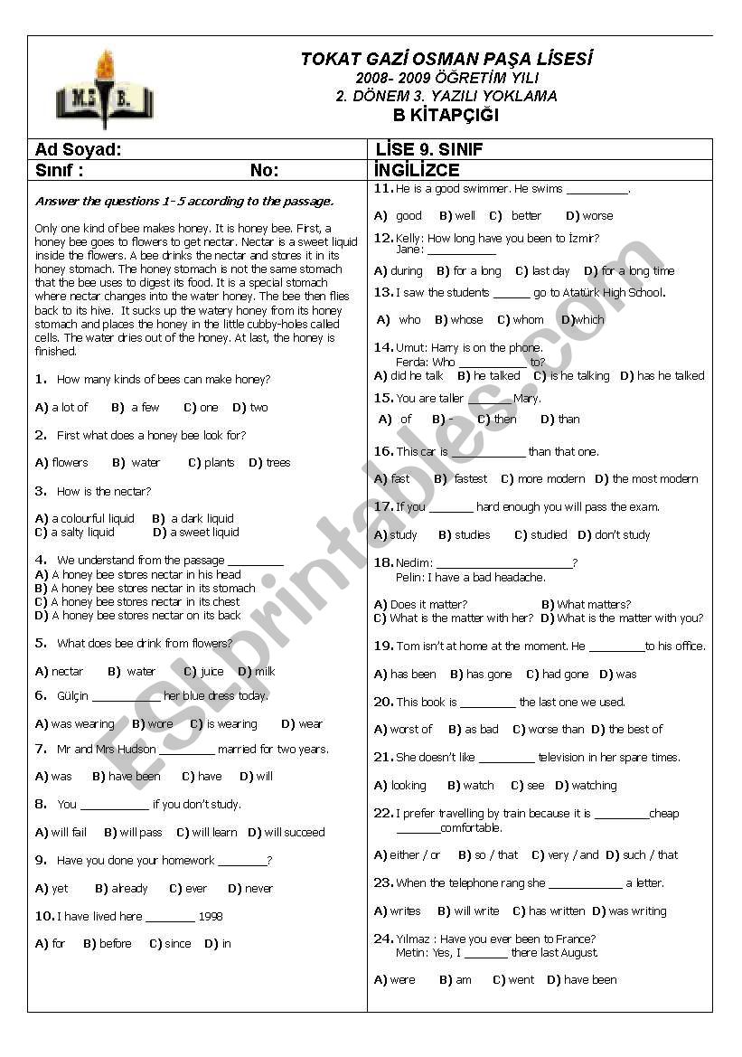 End of Term Test For Grade 9 worksheet