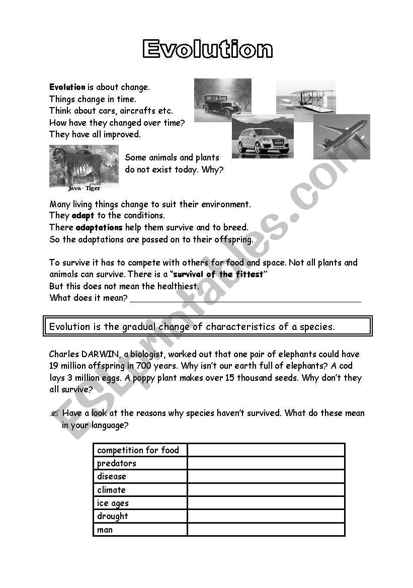 Evolution worksheet