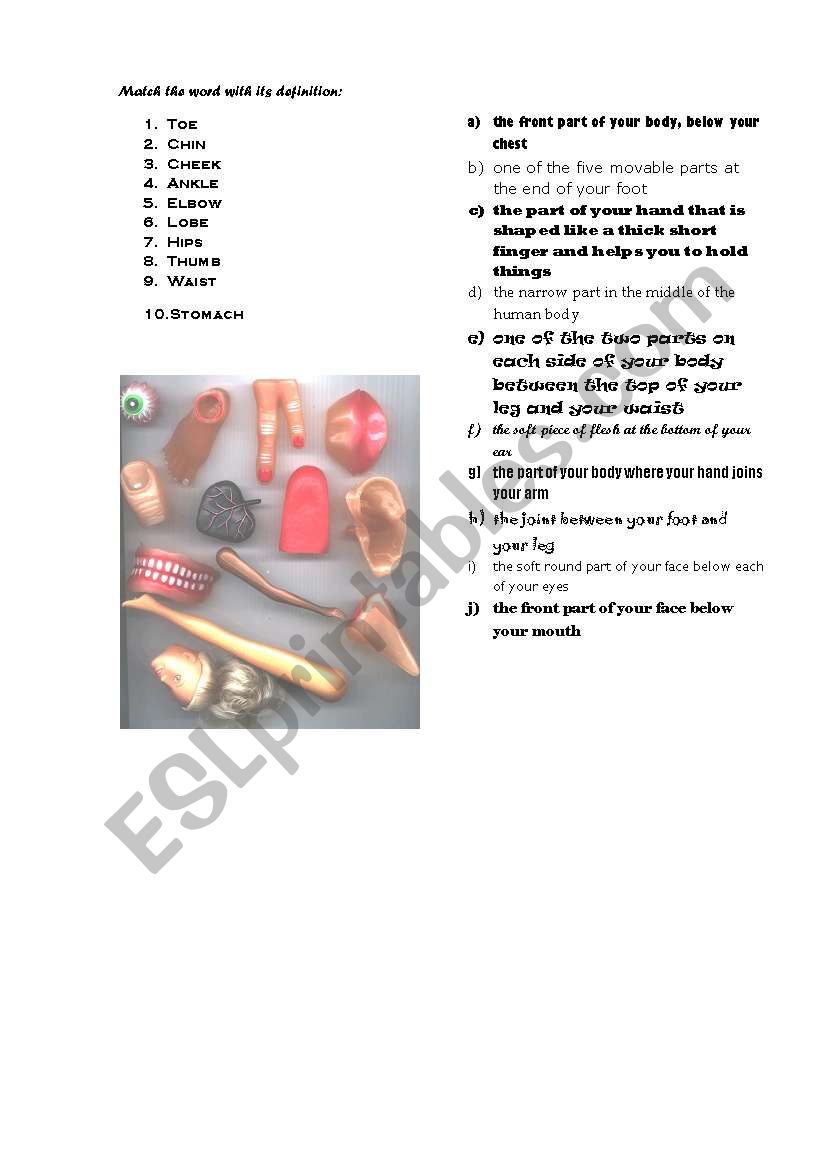 Body Parts worksheet