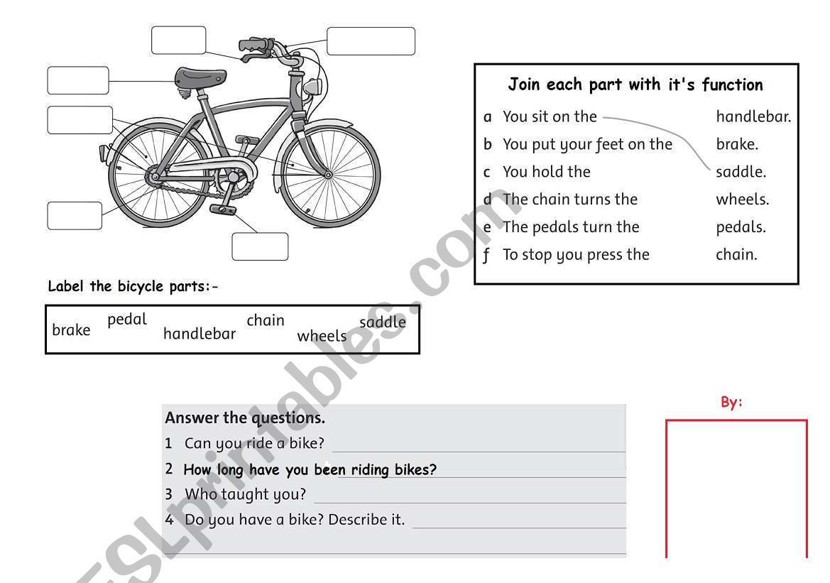 how to ride a bicycle worksheet