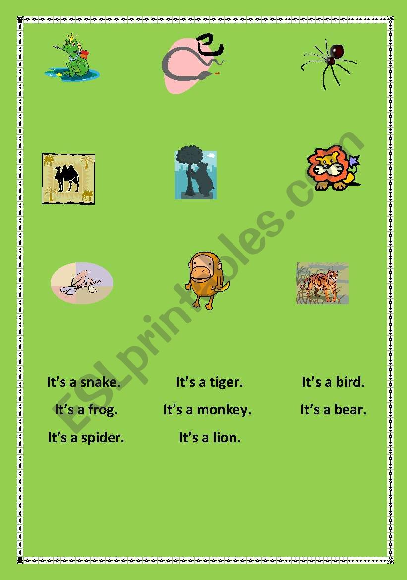 animals worksheet