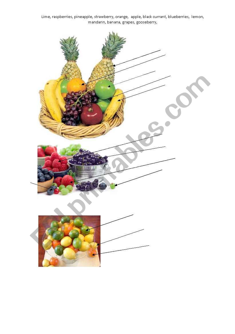 food worksheet