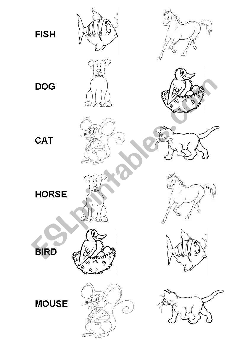 What animal...?  worksheet