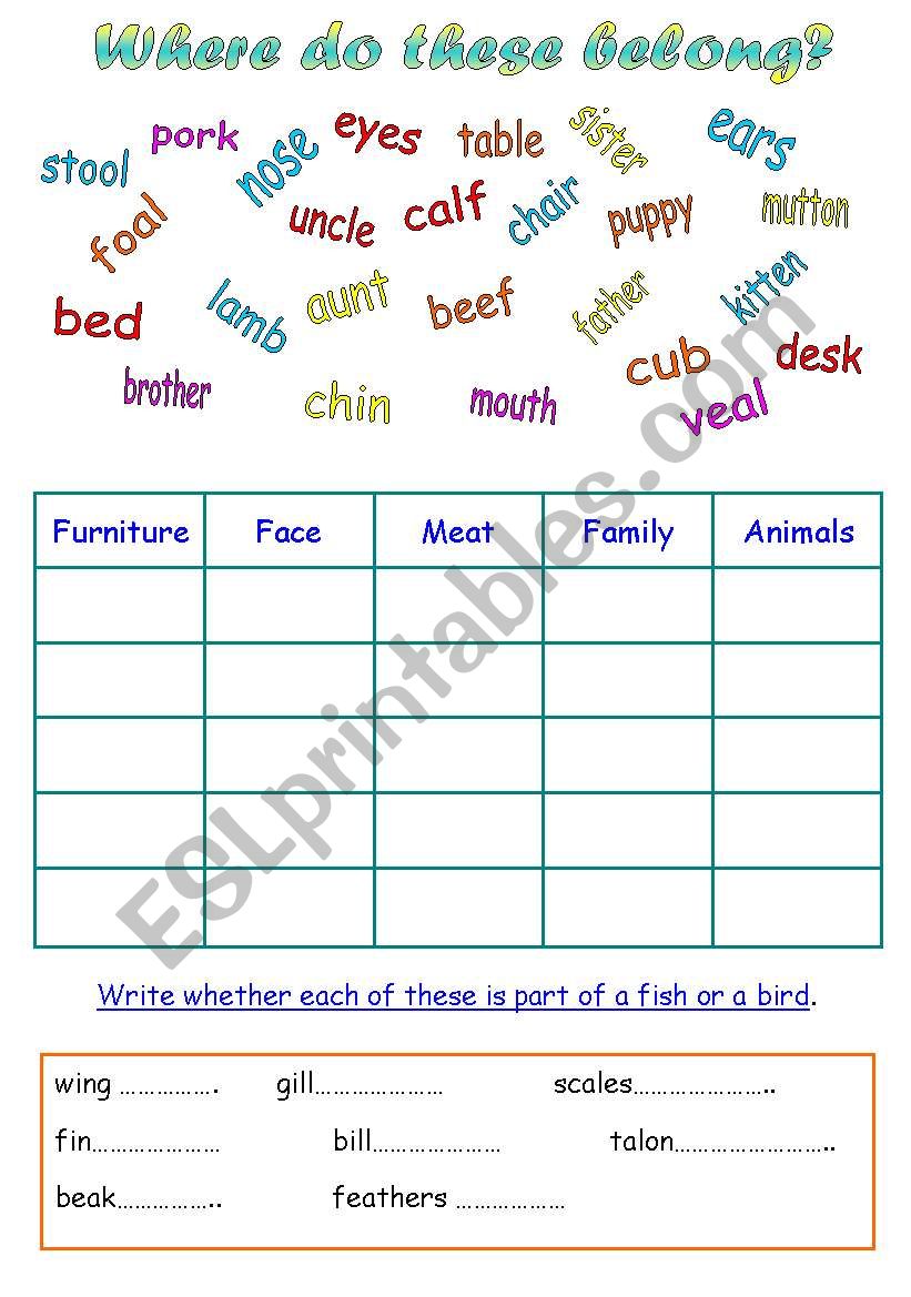 Categories worksheet