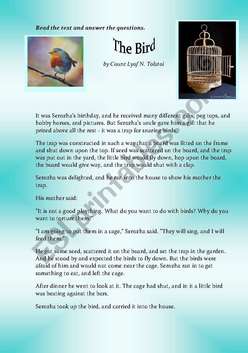 The Bird worksheet