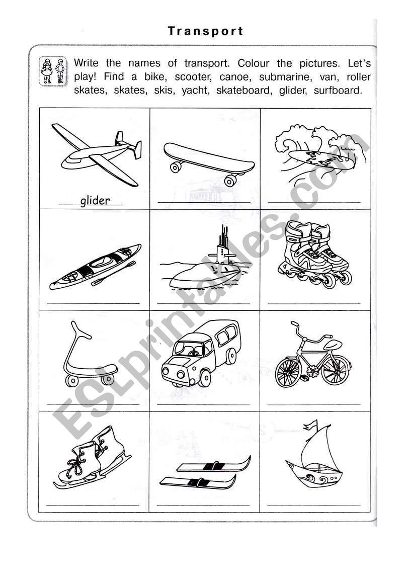 trasport worksheet