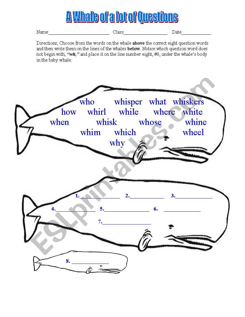 A Whale of a lot of Questions worksheet