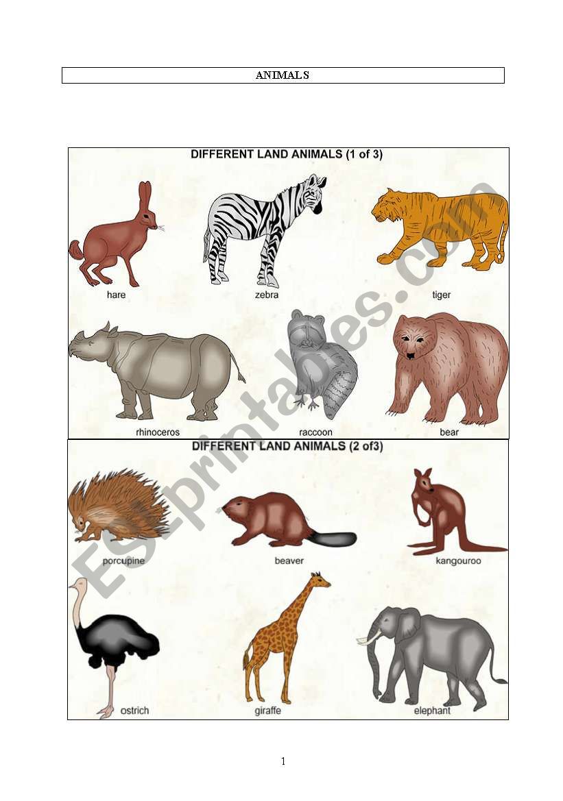 ANIMALS worksheet