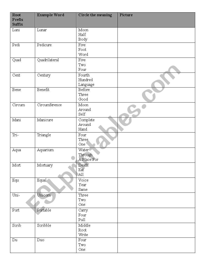 English worksheets: Greek and Latin Roots Pertaining To Greek And Latin Roots Worksheet