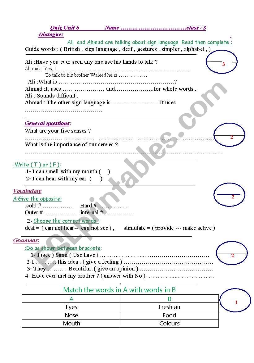 the senses  worksheet