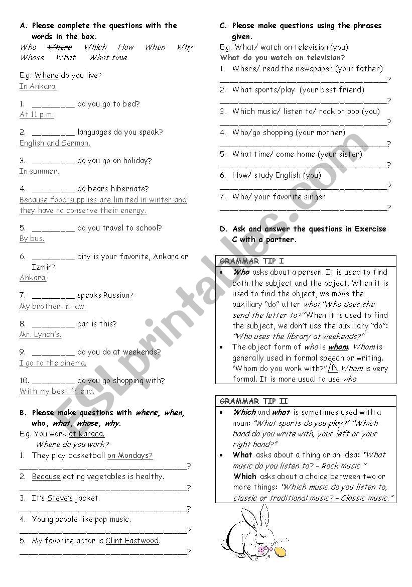 wh- questions worksheet