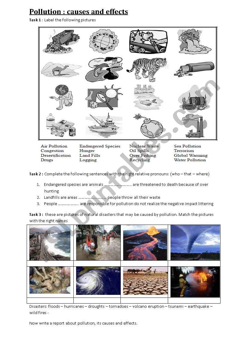 pollution: causes and effects worksheet