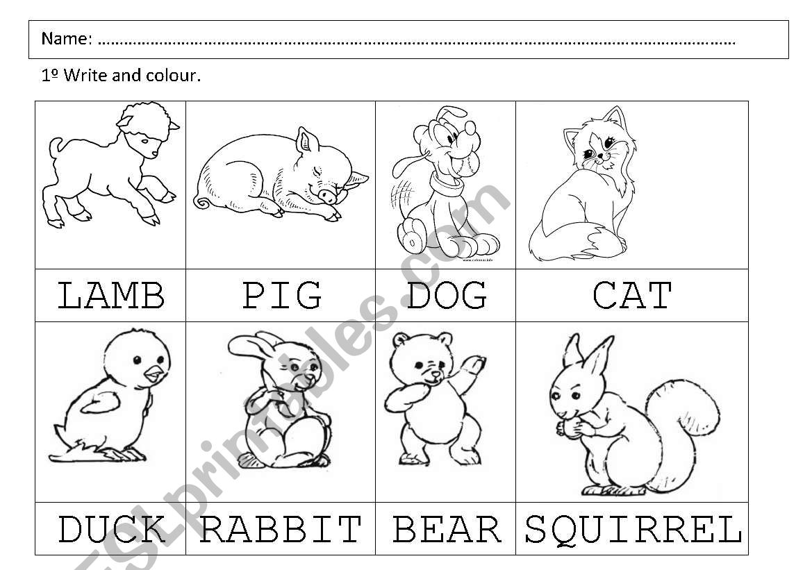 The animals worksheet