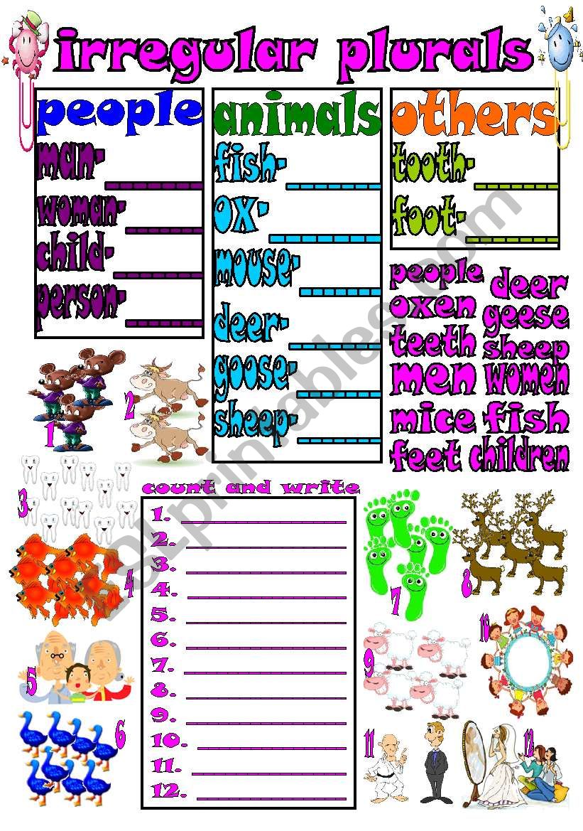 irregular plurals worksheet