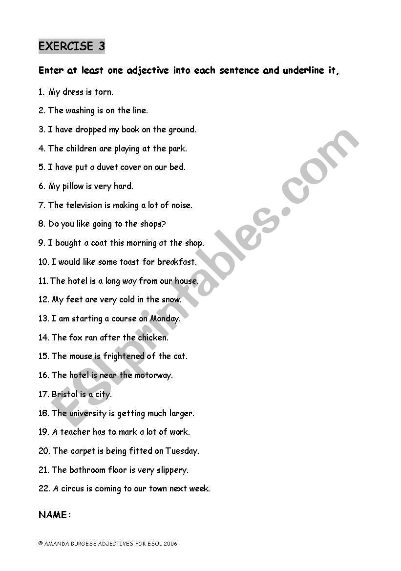 Adjective Exercise worksheet