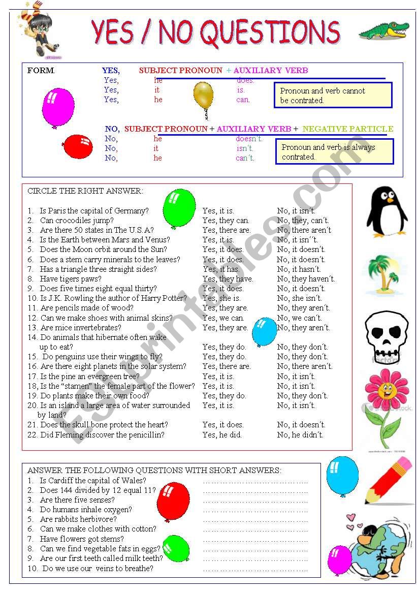 Yes/No questions and general knowledge