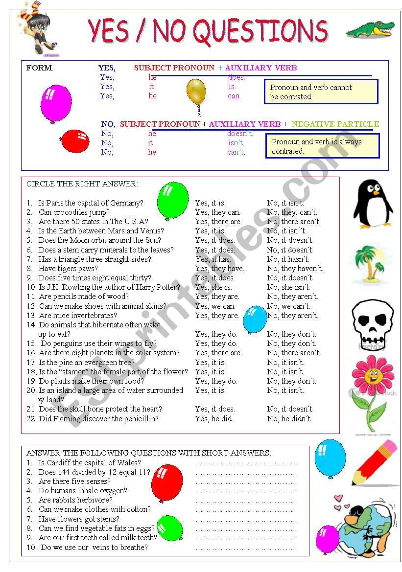 Yes No Questions And General Knowledge ESL Worksheet By Anareb