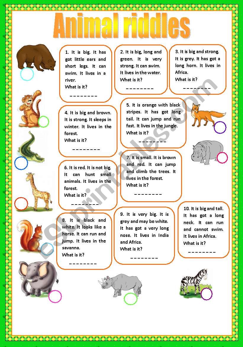 Animal riddles worksheet